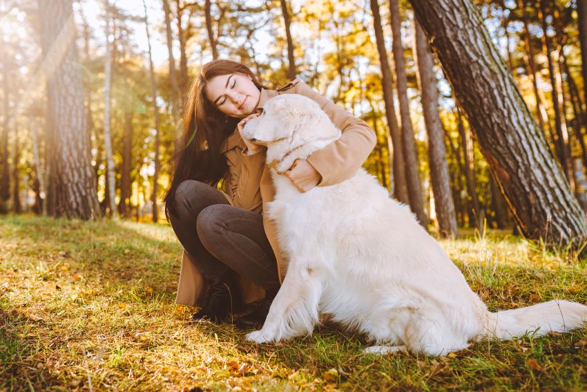 Protección animal mundial