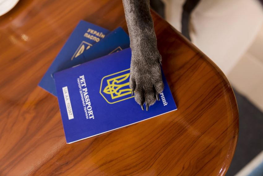 Certificado para viajar con mascotas