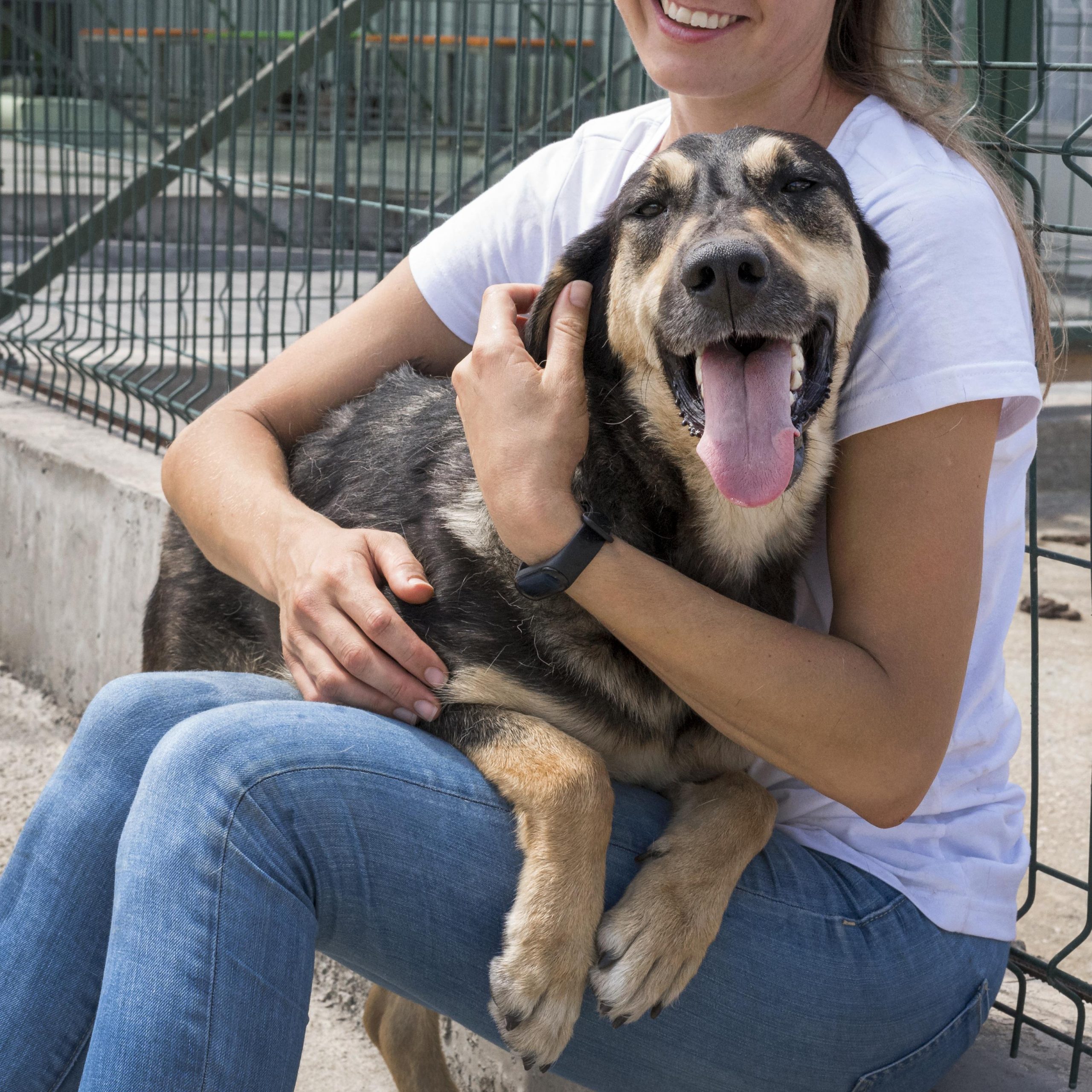 cute-dog-playing-with-woman-in-shelter-for-adoption-scaled.jpg