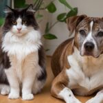 Despedida tranquila de una mascota en casa junto a su familia