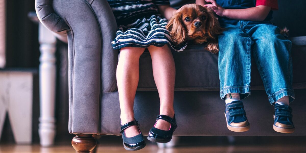Niños junto a su perro en casa en un momento de vínculo y cercanía