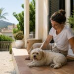 Recogida e incineración de mascotas en Alicante en agosto: guía práctica para familias